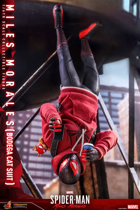 Miles Morales Bodega Cat Suit Sixth Scale Collectible Figure By Hot Toys Sideshow Collectibles
