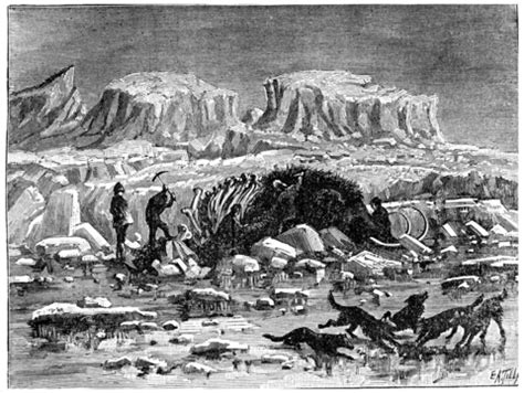 Mammoth Discovery In Siberian Ice Reveals Intact Meat, Ice ...