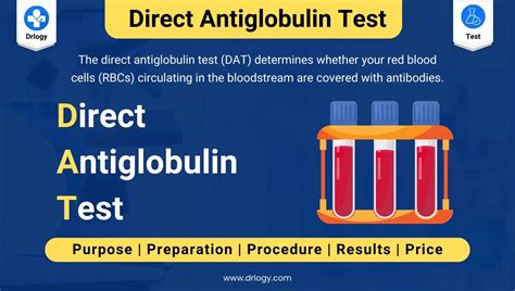 Direct Antiglobulin Test Price Purpose And Results Drlogy