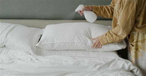 How To Clean Dog Pee From Your Mattress The Cleangreen Company™