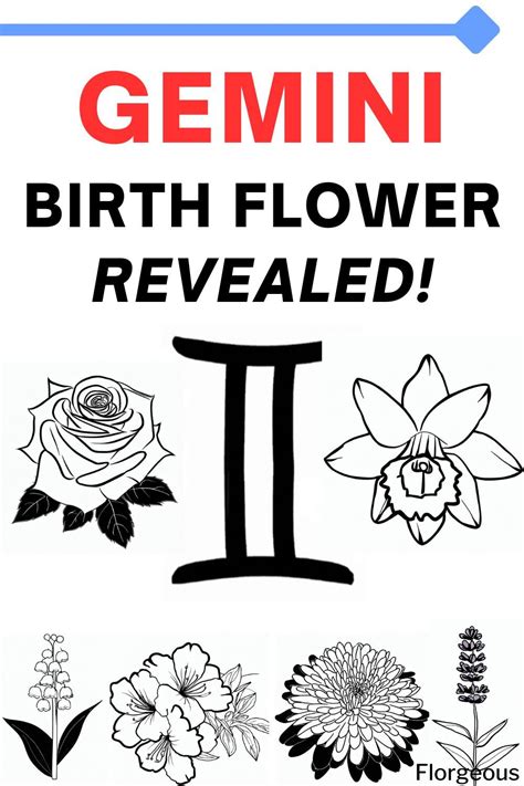 Gemini Birth Flower | Gemini, Gemini flower, Birth flowers