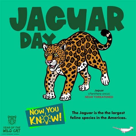 Peppermint Narwhal Creative on Instagram: "Happy Jaguar Day! Now You ...