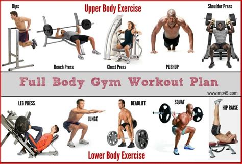 The Best Full Body Gym Workout Guide By MP45