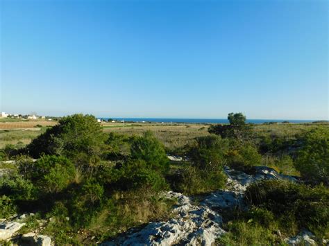 Cammini pugliesi, è boom di turisti - Salento News