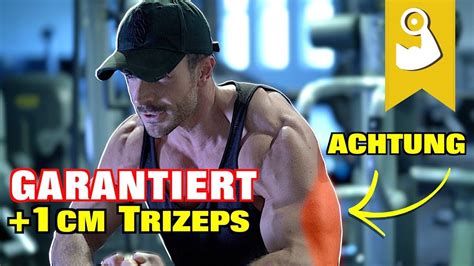 Trizeps Workout Komplettes Training F R Muskelaufbau Youtube