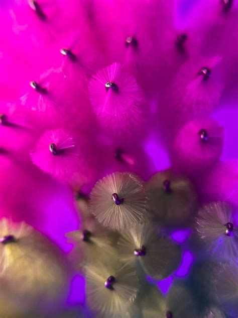 Pin by Emily Douglas on Cosme | Nail art hacks, Lashes, Cartoon ...