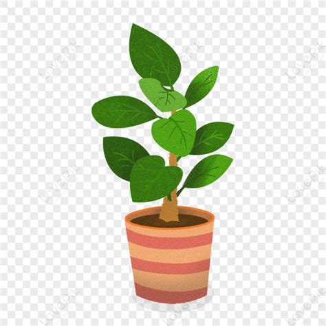 Potted Plants Pots Green Plant Potted Plants Png Picture And Clipart