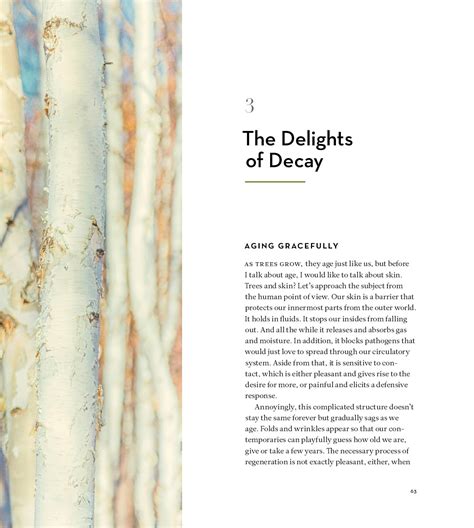 The Hidden Life Of Trees Illustrated Edition Greystone Books Ltd