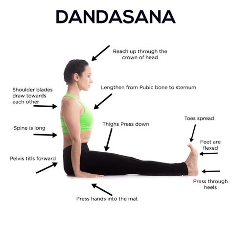 dandasana alchetron   social encyclopedia