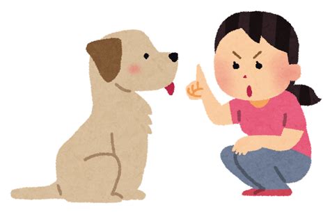 犬の「伏せ」のしつけ方法のポイントは？声掛けは英語でもok？