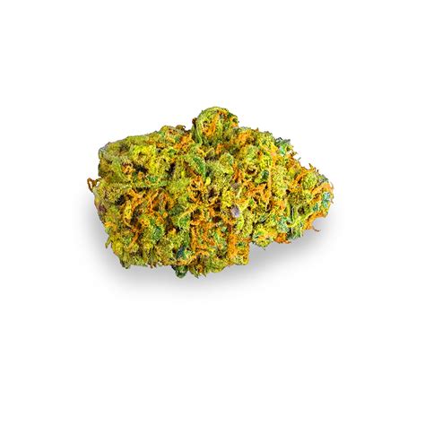 Swazi Gold Strain