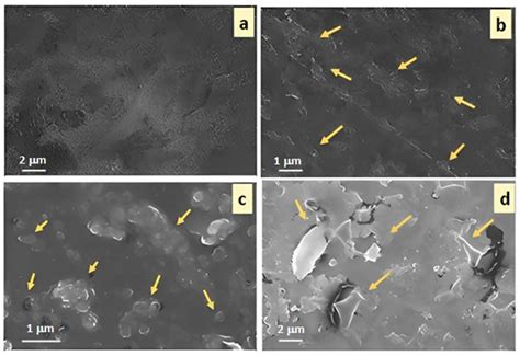 Polymers Free Full Text The Synergistic Effect Of Polystyrene