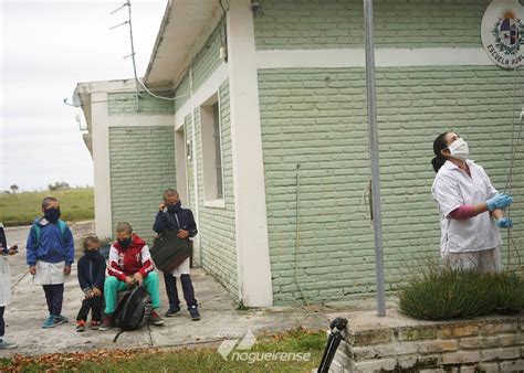 Coronavírus aumentará pobreza na América Latina e Caribe diz FAO Correio Nogueirense