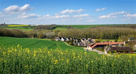 TOP 10 Photographe Seine Et Marne En 2023