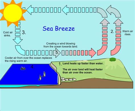 Understanding Land And Sea Breeze Diagrams A Visual Worksheet Guide