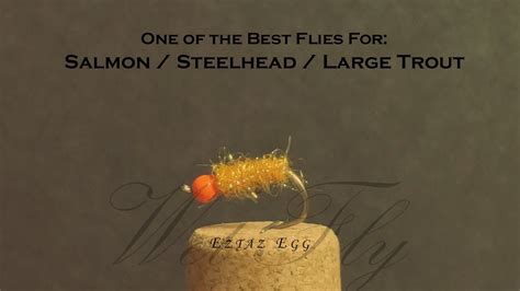 The Estaz Egg Ec Fly Tying Series Youtube