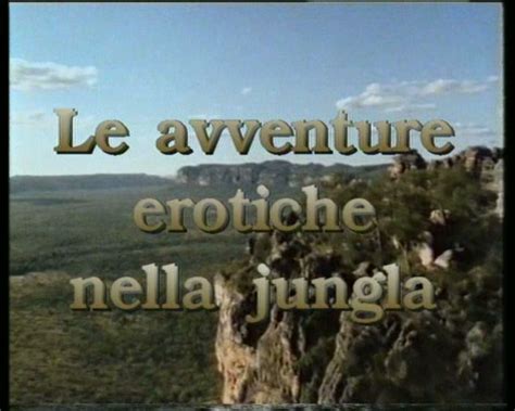 TOMB IT MAY CONCERN David Zuzelo Scribbles On Mangled Media Joe D Amato Porn Investigation