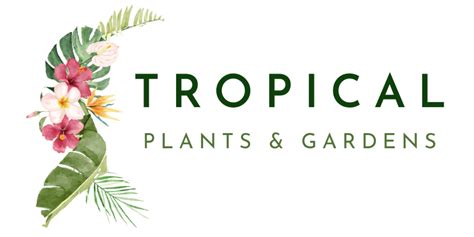 Privacy Policy Tropical Plants And Gardens