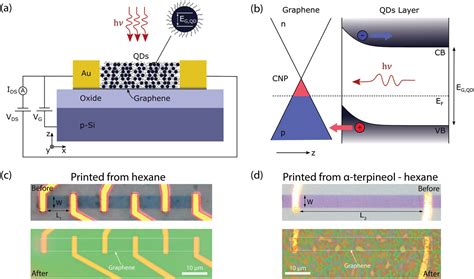 Conformal Integration Of An Inkjet‐printed Pbs Qds‐graphene Ir