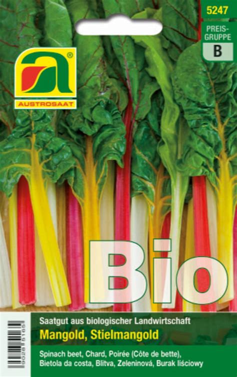 AUSTROSAAT Bio Blitva Fireworks 1 Pkt Bloomling Spletna Trgovina