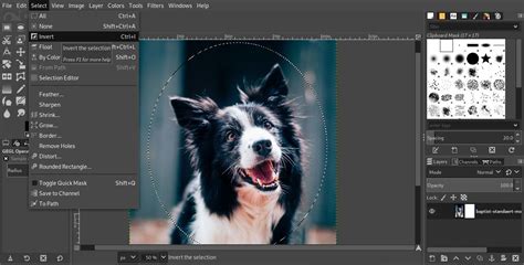 Create A Non Destructive Vignette Effect With GIMP