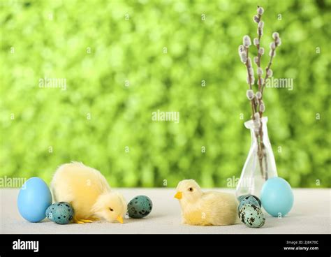 Cute Chickens Easter Eggs And Pussy Willow Branches On Table Outdoors Stock Photo Alamy