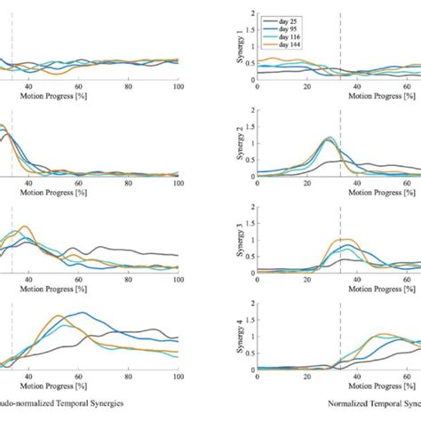 Muscle Synergy Model Download Scientific Diagram