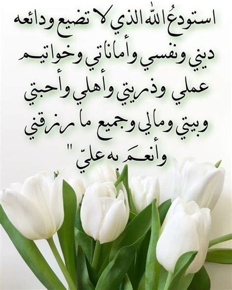 استودعتك الله الذي لا تضيع ودائعه المرسال