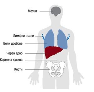 Описание