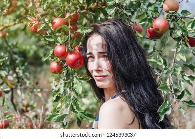 Sexy Brunette Wild Apple Orchard Portrait Stock Photo 1245393037