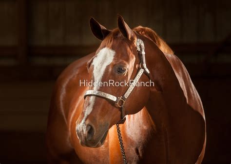 "Sorrel Quarter Horse II" by HiddenRockRanch | Redbubble