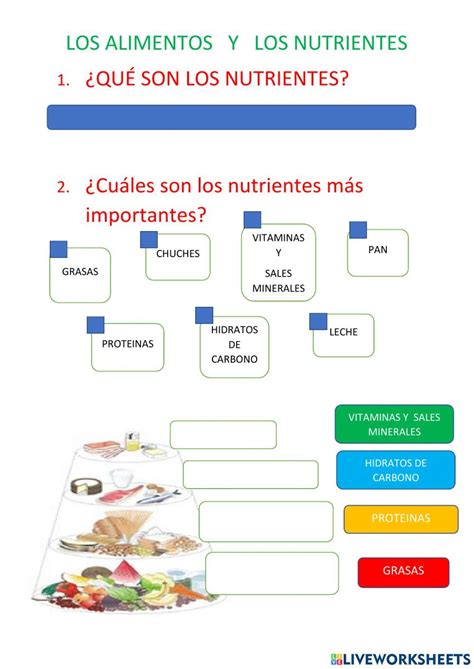 Nutrientes Ficha De Medio Natural Fichas Estados De La Materia