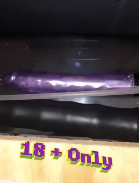 Travelodge Guest Finds Two Sex Toys Hidden In Cistern Of Toilet The Sun