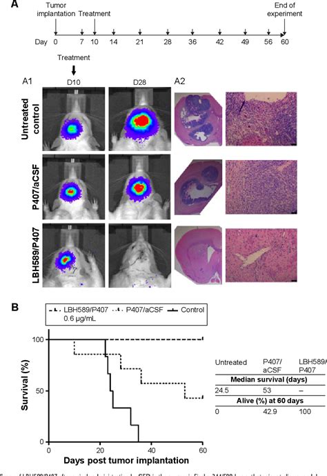 Figure From Convection Enhanced Delivery Of Panobinostat Lbh