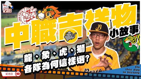 小故事 職棒吉祥物 龍虎象獅為何這樣選 Youtube