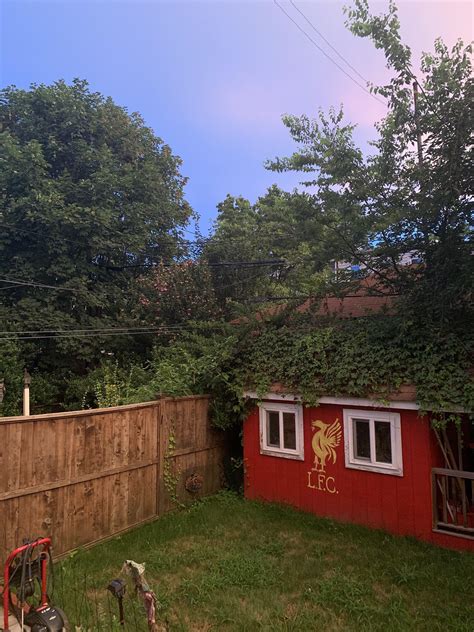 Our backyard in Brooklyn, New York : r/LiverpoolFC