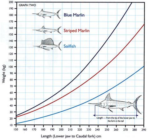 Marlin and Sailfish graph | Fishing - Fishwrecked.com - Fishing WA ...