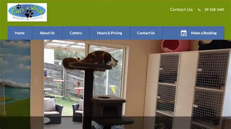 The 10 Best Catteries In Auckland 2024