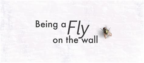 Fly On The Wall Veronique Frizzell