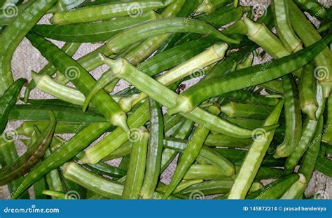 Bandakka Stock Photos Free And Royalty Free Stock Photos From Dreamstime