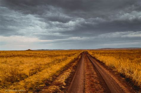 Дорога в Казахстан | Пикабу