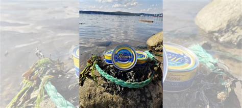 Печень трески купить в Мурманске | Товары для дома и дачи | Авито