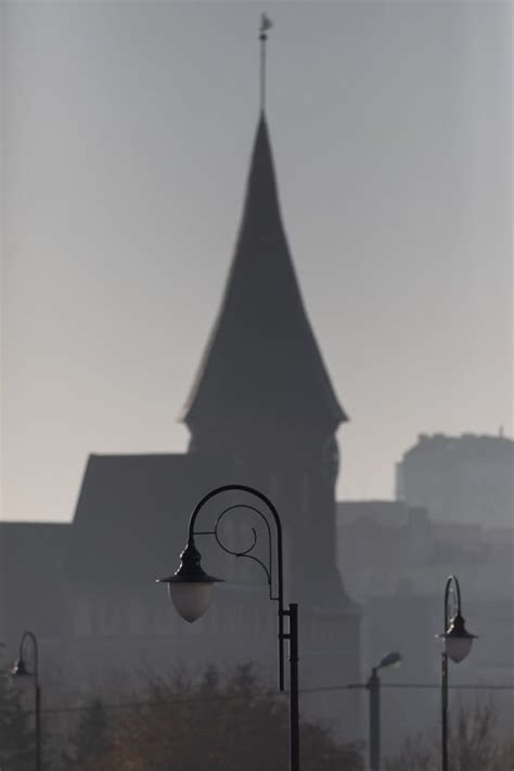 Фото Калининграда 2025: Красивые виды и достопримечательности