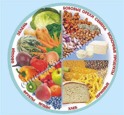 Плакат — Моя умная тарелка | Чудесные Странички