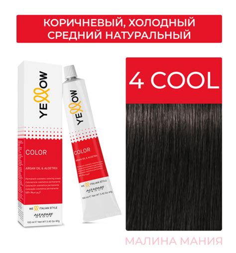 Yellow Краска для волос Тон 4 COOL (Коричневый, Холодный средний ...
