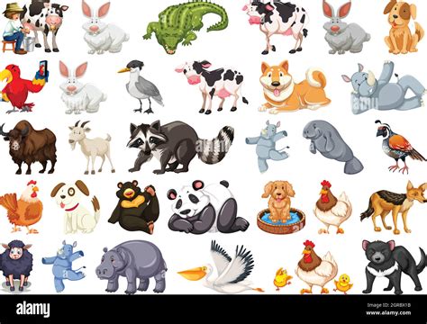 Fast And Slow Animals