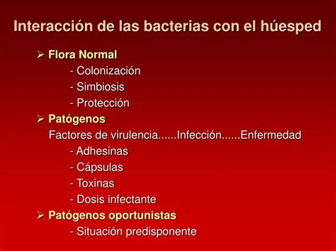 PPT LAS BACTERIAS COMO PATOGENOS PowerPoint Presentation Free