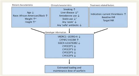 Dosing algorithm warfarin. The flow chart illustrates the publically... | Download Scientific ...