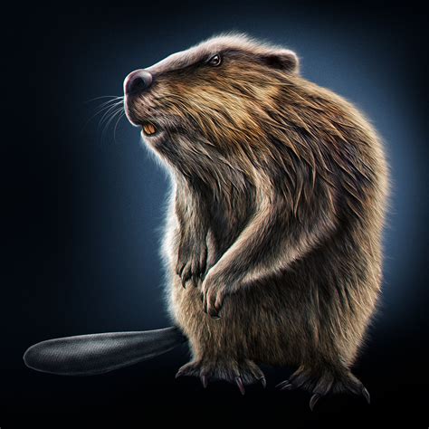 Beaver Joel Jensen Art