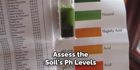 How To Use Rapitest Soil Test Kit Step By Step Guide 2025